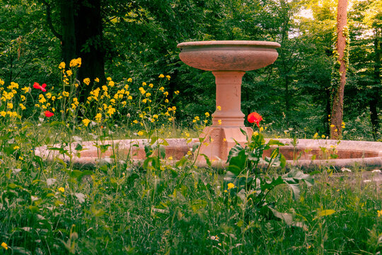 Springbrunnen in Park