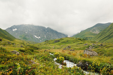 Fototapeta premium A lively alpine stream winds through wildflowers and rocky meadows beneath misty Caucasus peaks near the Abudelauri Lakes in Georgia, conveying pristine freshness and peaceful solitude
