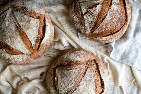 Artisan sourdough loaves on cloth