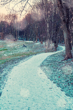 Winter city park landscape scene - a curving snowy path covered with snow under falling snowflakes at sunset