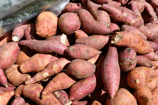 Sweet potato root vegetable market produce