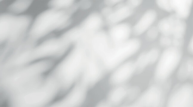Gobo light effect on a white background with soft blurred shadow and diffused bokeh. Abstract shade with natural foliage pattern on wall.