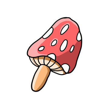Colorful hand drawn red cap plant mushroom illustration