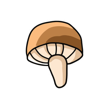 Hand drawn plant mushroom illustration design