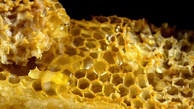 Golden honey dripping from honeycomb wax, natural raw honey and beeswax close up