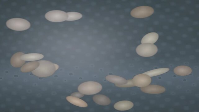 Wet River Pebbles With Water Ripples And Caustic Reflections