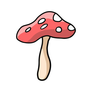 Red spotted plant mushroom illustration on white background