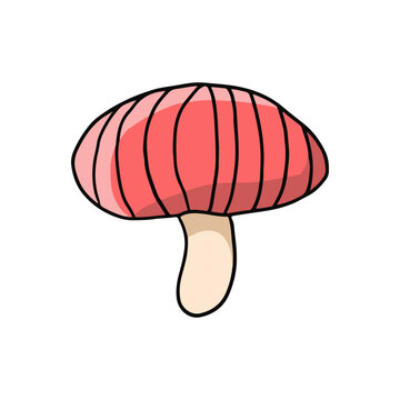 Cute plant mushroom illustration with red cap and light stem