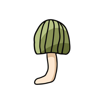 Cute green plant mushroom illustration on white background