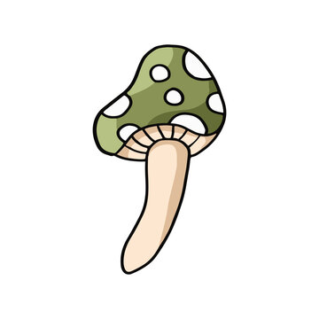 Green spotted plant mushroom illustration on white