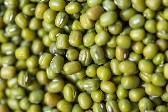 Close-up of fresh green mung beans
