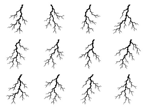 Tree root silhouette collection with twelve different branching root systems featuring natural irregular forms for botanical, forest, soil and underground nature