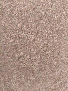 Close Up of Particle Board Texture with Wood Chips and Sawdust