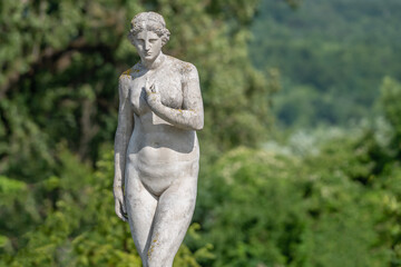 Greek classical statue of Aphrodite representing love, beauty and feminine perfection. Copy space for text or design. © zwiebackesser