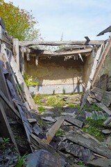 Fototapeta premium Collapsed roof and debris. Collapsed roof of abandoned building with wooden beams, debris and overgrown plants, collapsed structure, daylight.