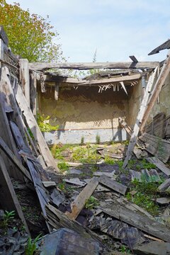 Collapsed roof and debris. Collapsed roof of abandoned building with wooden beams, debris and overgrown plants, collapsed structure, daylight.