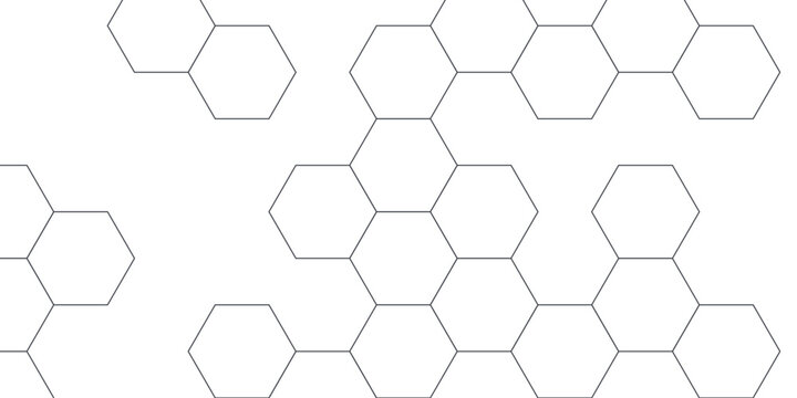 Bold white and grey hexagon background. Minimal hexagonal mesh with a connected line pattern. Creative abstract design for banner, packaging and branding.