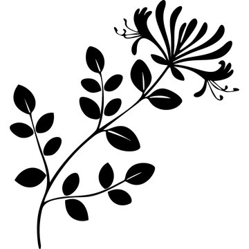 Honeysuckle Flower Glyph Icon