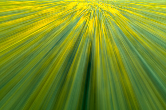 Abstract view of a sunflower field captured with intentional camera movement, creating a radial motion blur pattern of yellow and green streaks.