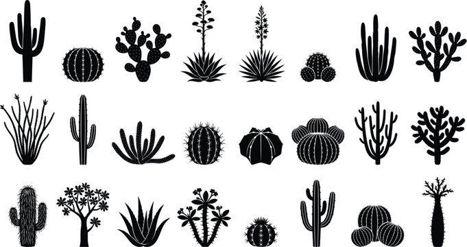Set of black cactus and succulent silhouettes vector illustration for desert landscape design