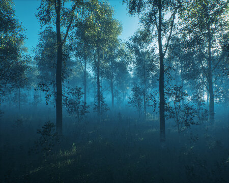 Dense misty forest with birch trees in morning sunlight. 3D rendered image.