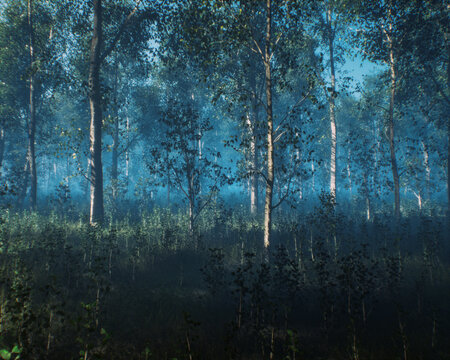 Dense misty forest with birch trees in morning sunlight. 3D rendered image.