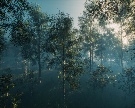 Dense misty forest with birch trees in morning sunlight. 3D rendered image.