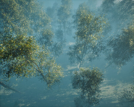 Misty forest with birch trees in morning sunlight. High angle view. 3D rendered image.