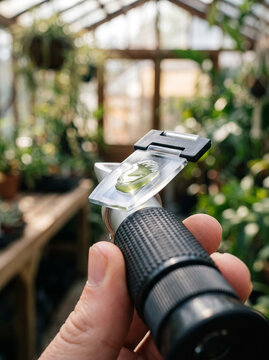 Hand Holding Optical Refractometer in Greenhouse Nursery Setting