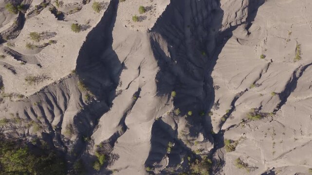 Top-down view of deep shadowed gullies in gray marl badlands with scattered small shrubs and strong contrast