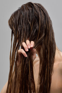 Tangled damp brunette hair covers face while hand separates difficult strands. Concept of detangling problems, damaged hair, knots and repair solutions.