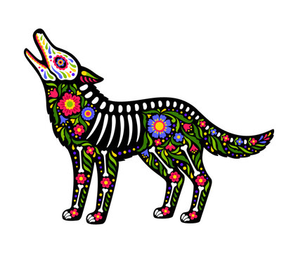 Mexican coyote animal skeleton tattoo of Day of the Dead sugar skull. Isolated wild howl wolf figure with traditional alebrije motifs and skeleton bones, celebrating Mexican death holiday