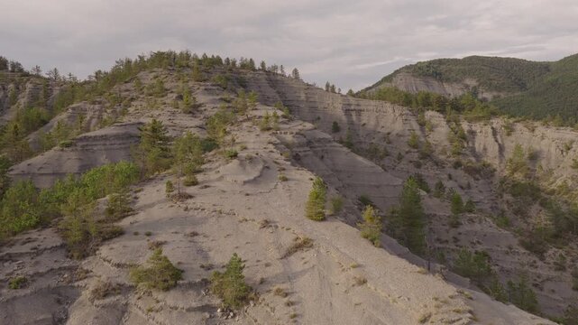Wide aerial of layered gray marl badlands sparse pines and surrounding green forested hills under soft sky