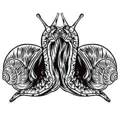 Two Snails Entwined Line Art Vector Illustration © Reyesstudio_