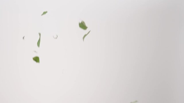 Fresh mint leaves falling in slow motion against a clean white background, dynamic and light.