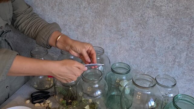 Making herbal jars in a kitchen with fresh herbs and empty glass containers