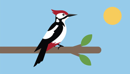 Fototapeta premium Great spotted woodpecker perched on a tree branch on a clear sunny day with bright blue sky in the background.