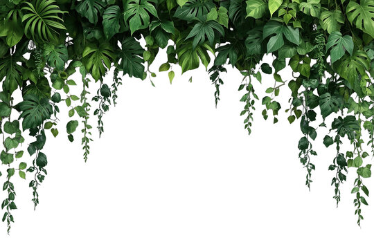 Hanging tropical green foliage forming an upper border