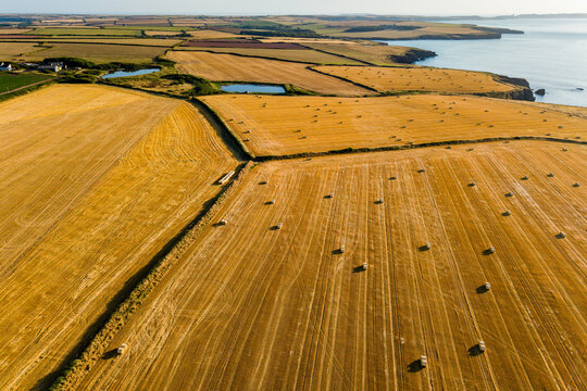 Golden harvested agricultural fields dotted with round hay bales along coastal cliffs, evening sunlight illuminating farmland in Pembrokeshire, Wales, aerial view