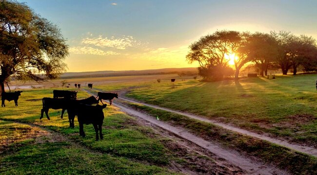 Atardecer en el campo