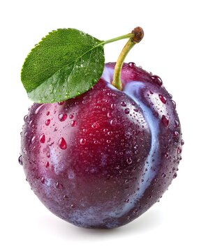 Fresh whole plum with natural sheen, fruit isolated on white background