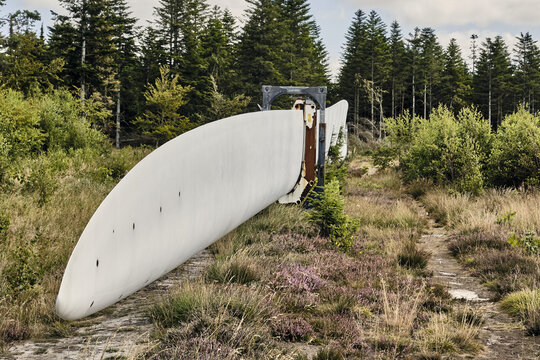 Thisted, Denmark - 11 August 2026: View of a sectioned 62-meter Vestas wind turbine rotor blade showing internal fiberglass spar cap and shear web construction at Wind Test Centre Osterild.