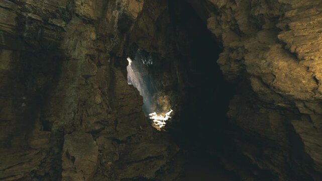 Hang son doong hidden jungle skylight exposes patch of green under vertical opening, damp microclimate with ferns and moss, filtered sun rays and towering rock