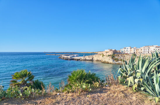 Scenic Mediterranean coastline of Terrasini, Sicily, Italy, with blue sea, rocky shore, harbor bay and agave plants in the foreground under a clear summer sky.