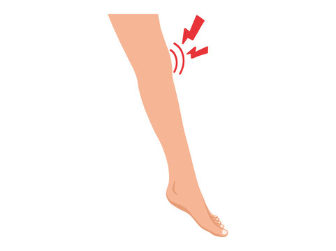 Leg and Knee Pain or Joint Pain