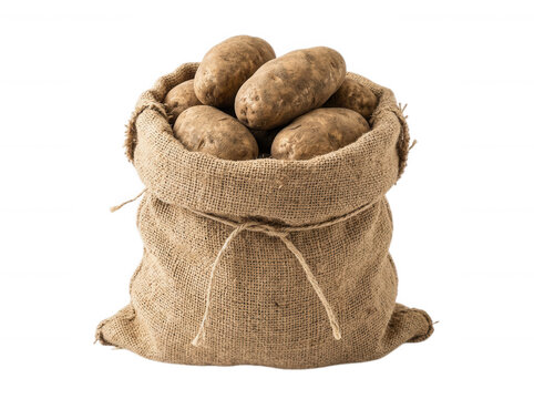 Burlap sack filled with fresh raw potatoes isolated on transparent background