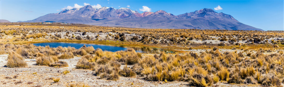 A view of high Andean tundra landscape in the Puna grassland ecoregion of the Andes Mountains  in southern Peru in the dry season