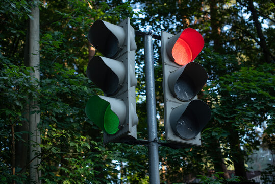 Traffic light with red and green signals against a backdrop of trees. The light is illuminated, indicating stop and go directions for vehicles.