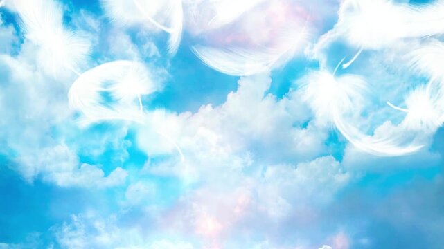 豪雨の後の晴天と天国から舞う白い天使の羽のアニメ