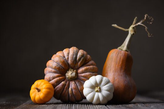 Colorful ornamental pumpkins arranged beside pear shaped squash in warm light. Rustic autumn composition with gourds and seasonal decor aesthetic